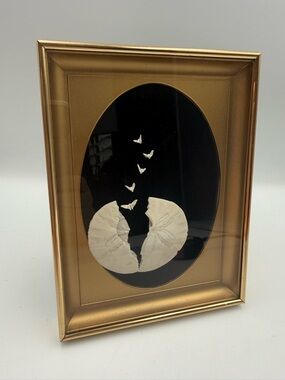 Vintage Legend of The Sand Dollar Framed Shadow Box Art 8x6